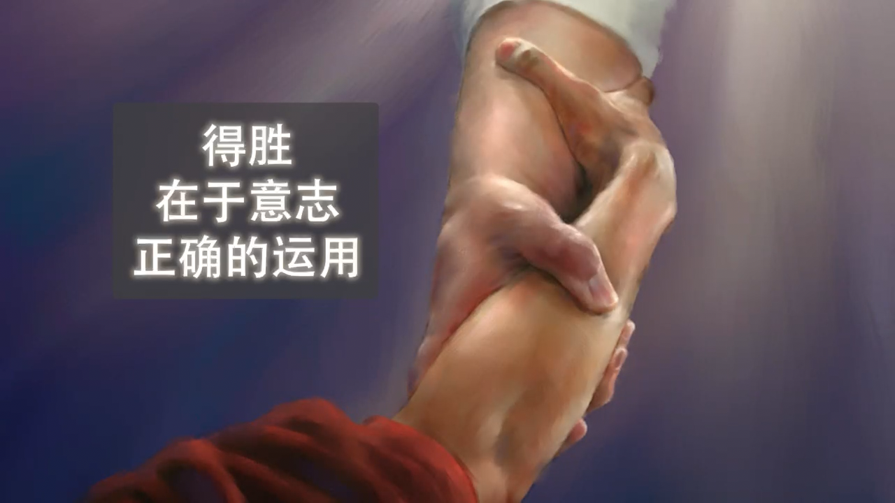 403.得胜在于意志正确的运用（2024-09-28）